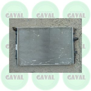 Radiador de Agua Volkswagen Tiguan 2010 (Sólo detalles estéticos)