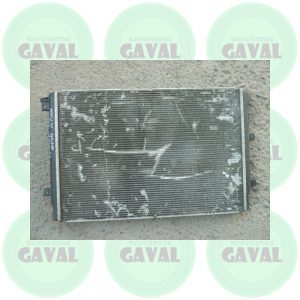 Radiador de Agua Volkswagen Tiguan 2010 (Sólo detalles estéticos)