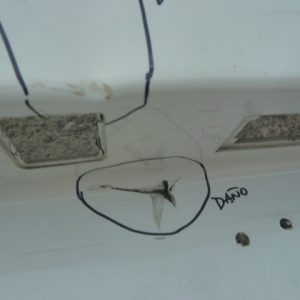 parachoque jac js2 2022 2023 2024 trasero daños