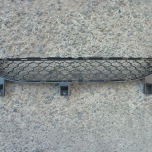 rejilla de parachoque byd f0 2012 2013 alternativa