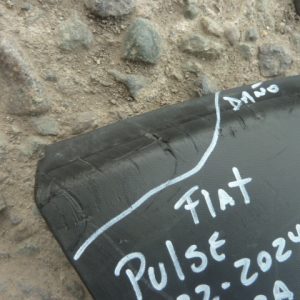 moldura fiat pulse 2022 2024 trasera copiloto – varios daños