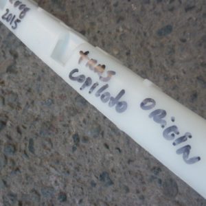 Mensula soporte captiva 2008 2009 2010 trasera copiloto