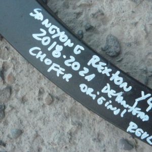 moldura ssangyong rexton y400 2018 2021 delantera chofer daños