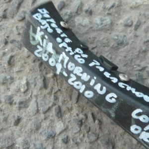 Mensula soporte morning 2009 2010 de parach bajo optico copiloto