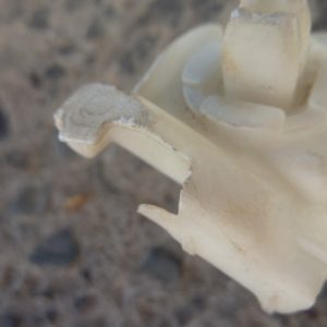 Mensula Soporte yaris sport 2007 2011 delantera copiloto daños