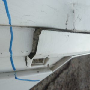 parachoque seat ibiza 2022 2023 2024 trasero – daños